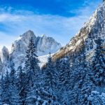 everstart 1200 peak amp jump starter manual pdf