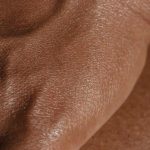 jeff nippard body recomposition pdf